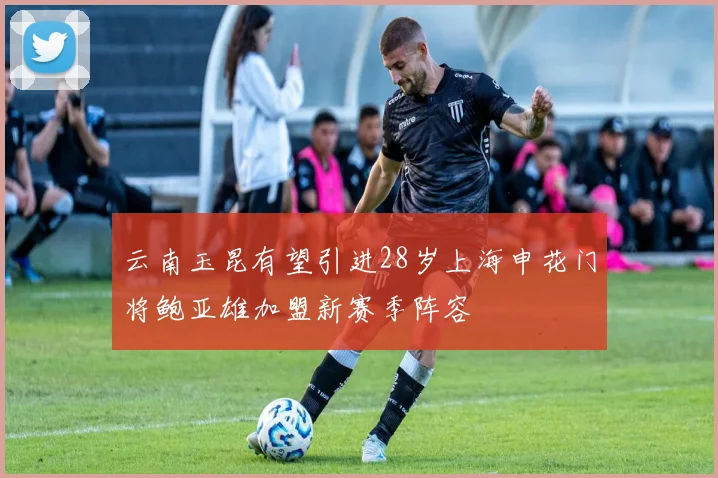 云南玉昆有望引进28岁上海申花门将鲍亚雄加盟新赛季阵容