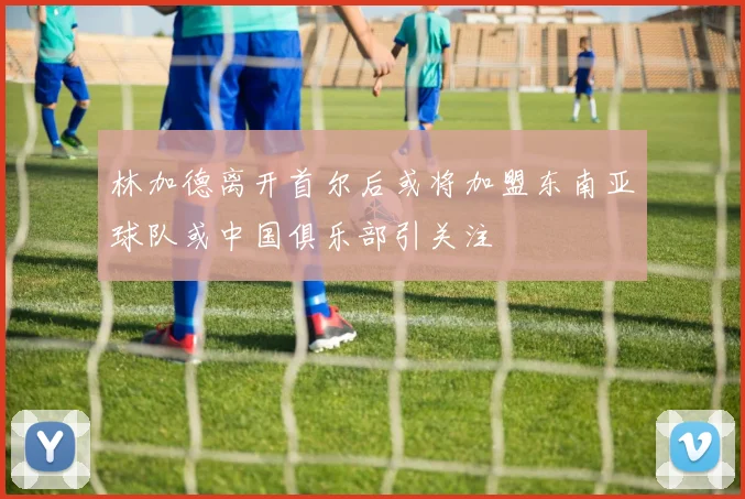 林加德离开首尔后或将加盟东南亚球队或中国俱乐部引关注